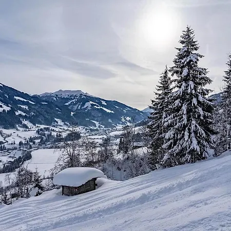 شقة Haus Tauernblick 4 *
